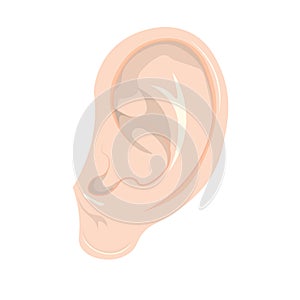 Human ear vector Illustration on white background