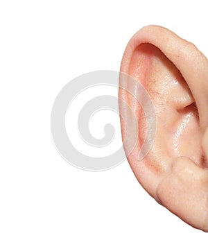 Human ear on white background