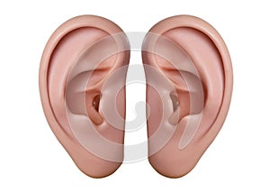 Human ears