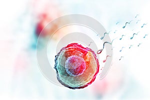 Human egg cell on science background