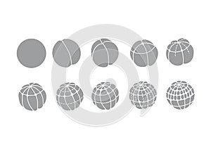 Human egg development.