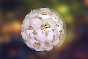 Human embryo on colorful background. 3D illustration