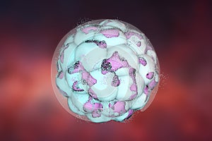 Human embryo on colorful background. 3D illustration