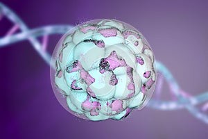 Human embryo on colorful background. 3D illustration