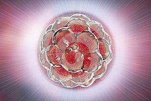 Human embryo on colorful background. 3D illustration