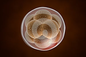 Human embryo on colorful background