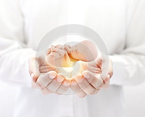 Human embryo in hands
