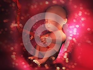 Human embryo inside body 3d illustration image