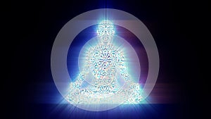 The human energy system