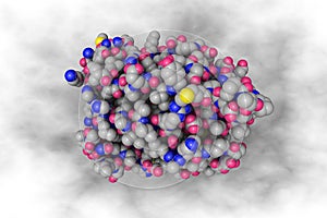 Human estrogen-related receptor gamma ligand binding domain in complex with bisphenol A. 3d illustration
