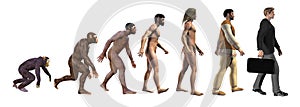 Human evolution, from apes to the business, 3d illustration