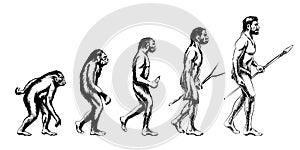 Human evolution illustration