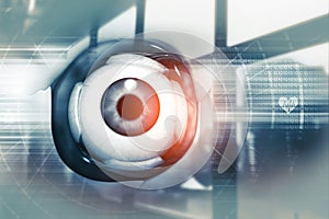 Human eye anatomy.inner structure