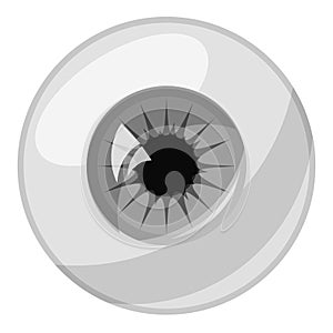 Human eye ball icon, gray monochrome style