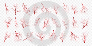 Human eye blood veins vessels silhouettes vector illustration set isolated on transparent background.
