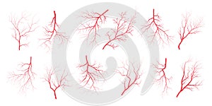 Human eye blood veins vessels silhouettes vector illustration set isolated on white background.