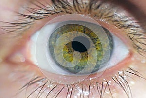 Human eye