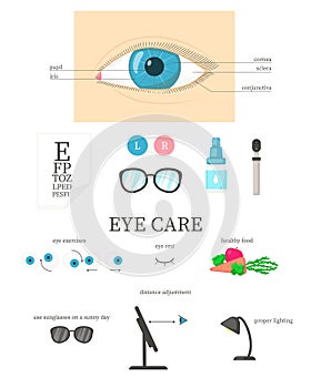 Human eye diagram, eye care, vector flat isolated illustration