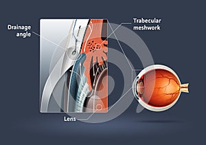 Human eye - glaucoma photo