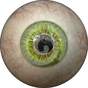 Human eye iris pupil ball