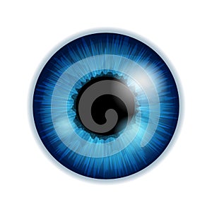 Human eye iris pupil - blue color