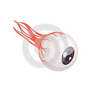 Human Eye Isometric Composition