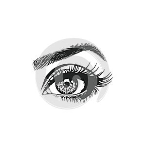 Human eye, eye lashes logo vector template