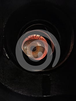 Human eye looking through the peephole
