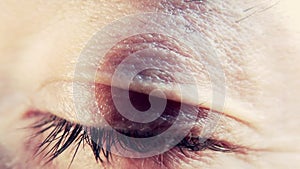 Human eye, macro