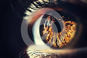 Human eye macro shot photo