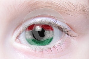 Human eye with national flag of hungary