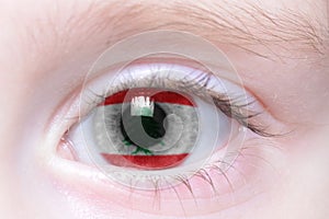 human eye with national flag of lebanon