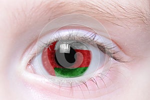 Human eye with national flag of oman
