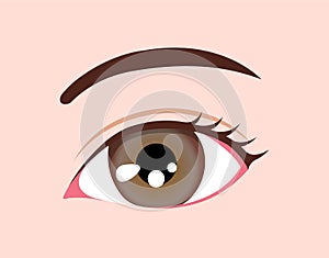 Human eyeball / eye color illustration amber