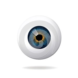 Human eyeball, retina on white background, blue eye.