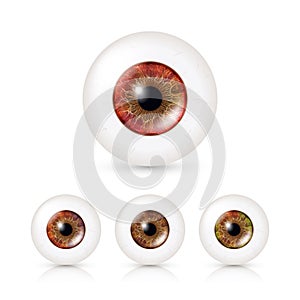 Human Eyeballs Set With Big Irises In Colour. Vector Illustration Of 3d Glossy Detailed Eye With Shadow And Reflection photo