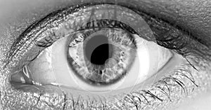 Human eyes close-up detail. Macro pupil retina human colse eye, eyeball. Female eyes with long eyelashes close up. Macro photo