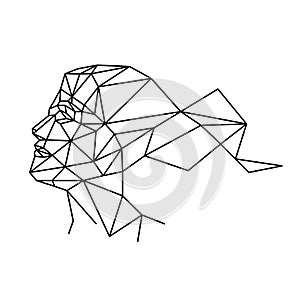Human face from polygons vector illustration