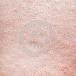 Human face skin texture