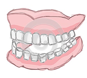 Human false teeth