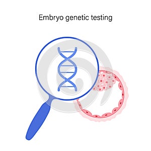 Human fertility concept