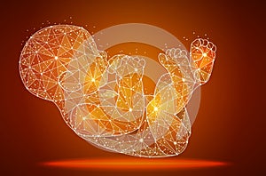 Human fetus. Artificial nurtured bionic fetuses, points and lines connected, vector illustration.
