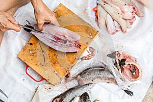 Human filleting a fresh fish.