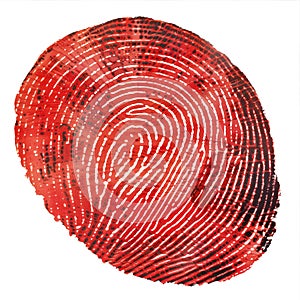 Human fingerprint with distressed texture isolated on transparent background.