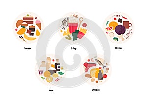 Human five taste infographic. Vector flat modern illustration. Sweet, umami, sour, salty, bitter product icon group set in circle