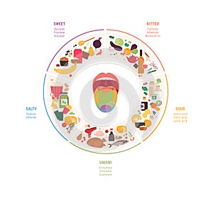 Human five taste infographic. Vector flat modern illustration. Tongue zone map. Sweet, umami, sour, salty, bitter product icon set