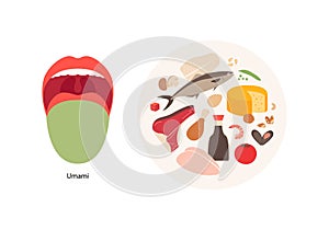 Human five taste infographic. Vector flat modern illustration. Tongue zone map. Umami meat meal plate product icon set isolated on