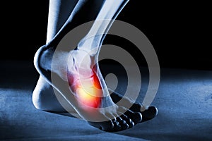 Human foot ankle and leg in x-ray on blue background. The foot ankle is highlighted by red colour.