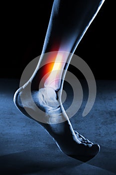 Human foot ankle and leg in x-ray on blue background. The foot ankle is highlighted by red colour.