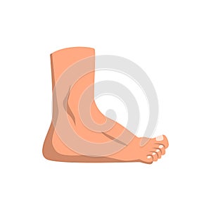 Human foot standing vector Illustration on a white background